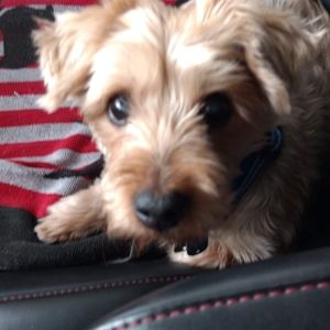 Meet your Posher, Debra